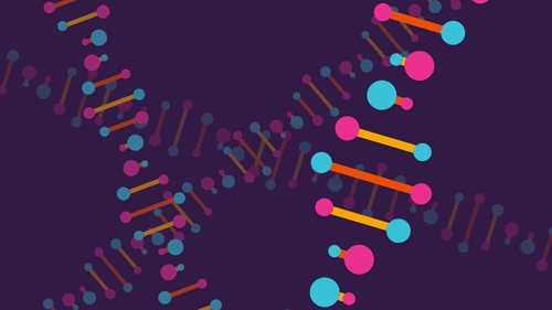 昆明市西山区发布