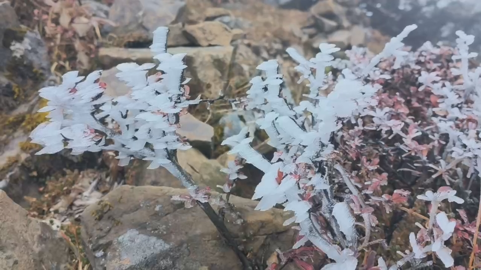 春城晚报