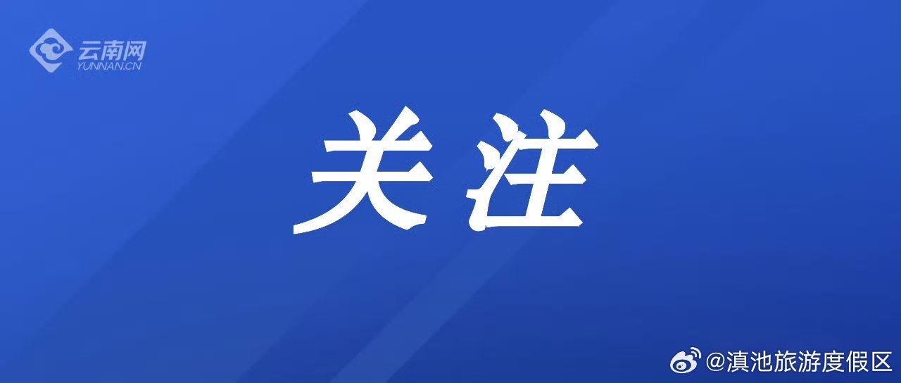 第六届中国国际进口博览会丨以园区为载体，沪滇开放合作前景广阔——双向赋能 携手发展
