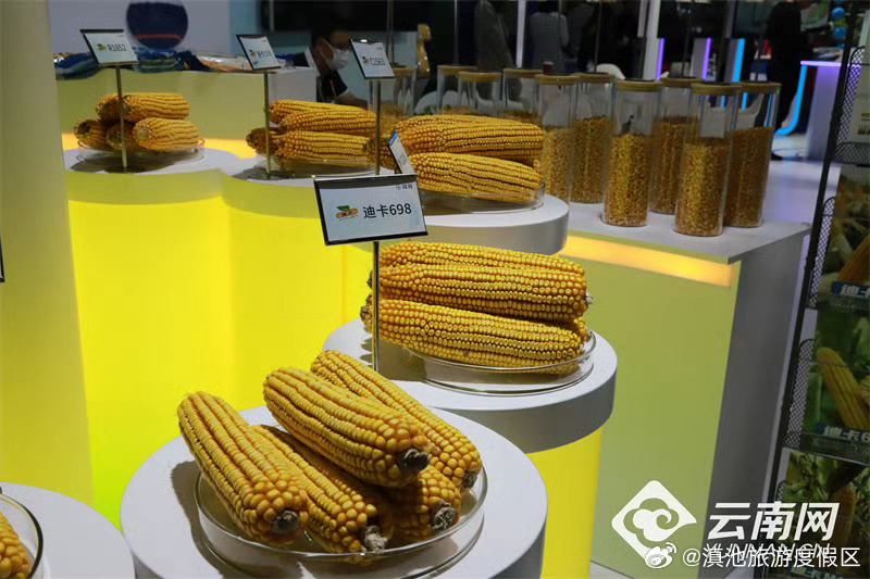 滇池旅游度假区