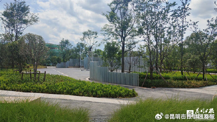 昆明市西山区发布