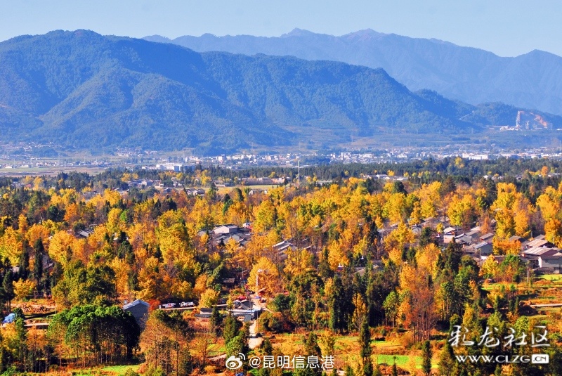 昆明信息港微博