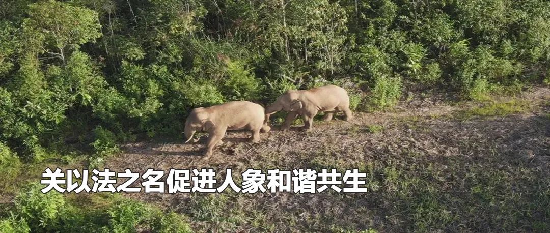 云南政法