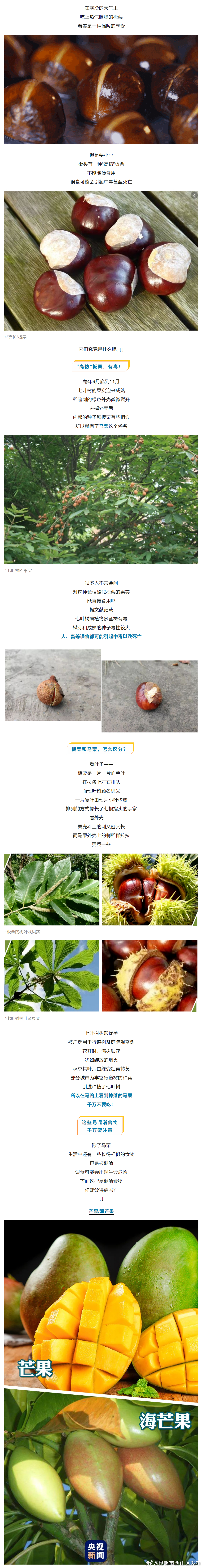 昆明市西山区发布