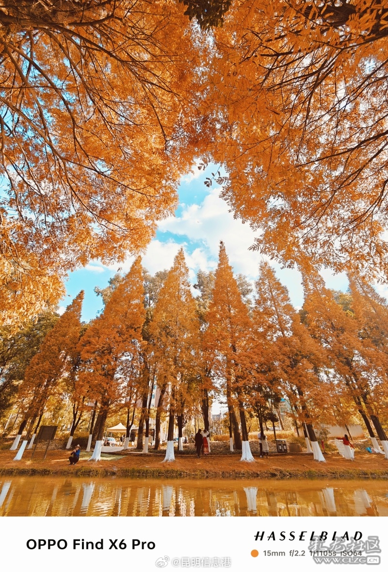 昆明信息港微博