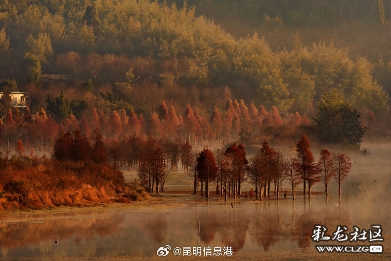 昆明信息港微博