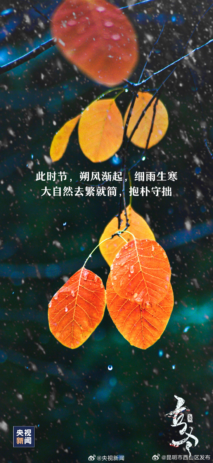 昆明市西山区发布