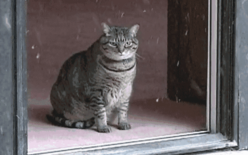 天冷重点护好6个部位