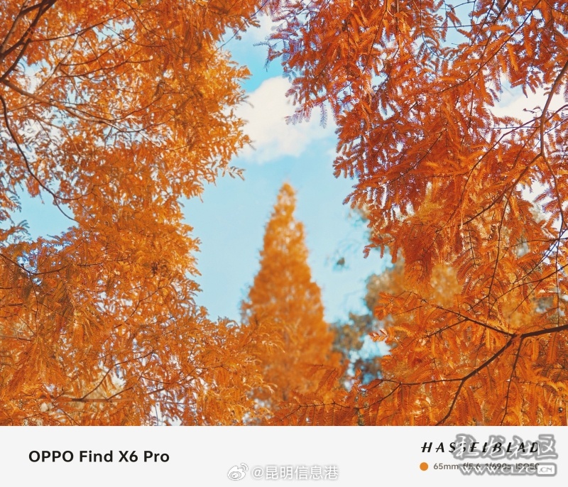 昆明信息港微博