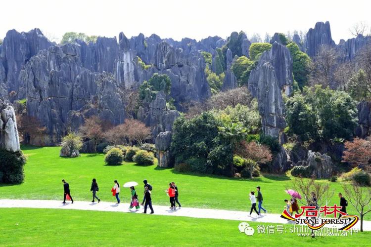 心驰神往：下一站，石林_http://www.mainten.cn_cns_第10张