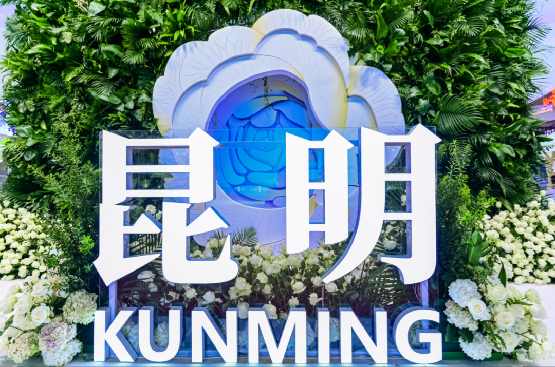 昆明文旅