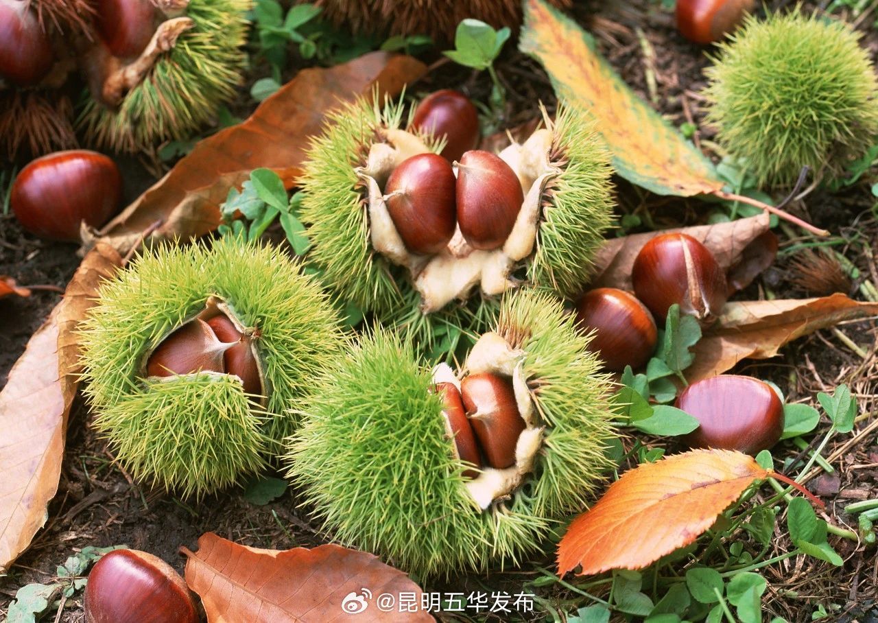 昆明五华发布