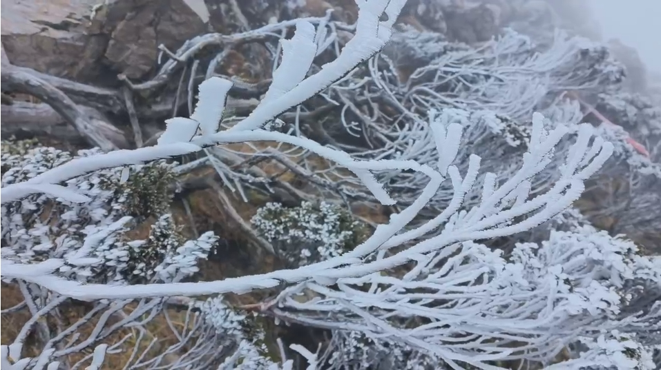 春城晚报
