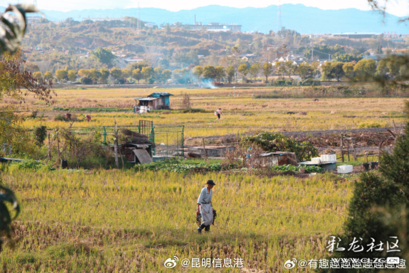 昆明信息港微博