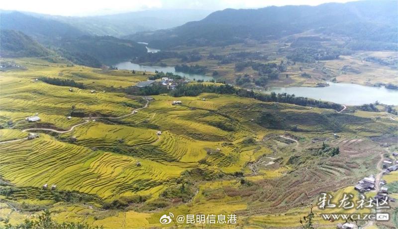 昆明信息港微博