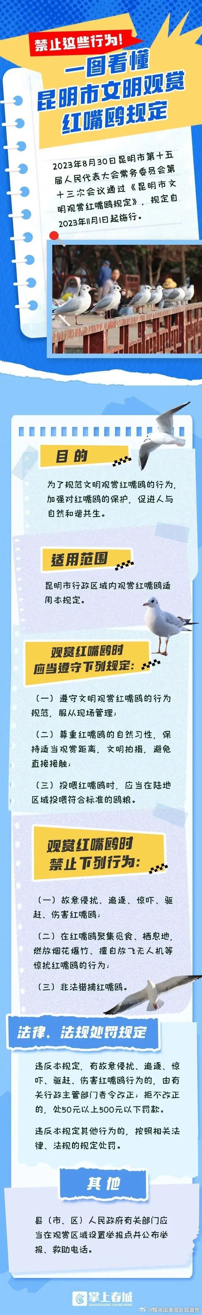 一图读懂《昆明市文明观赏红嘴鸥规定》→