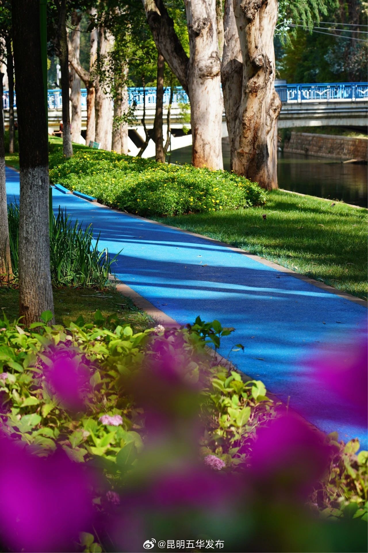 昆明五华发布