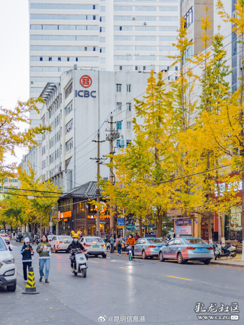 昆明信息港微博