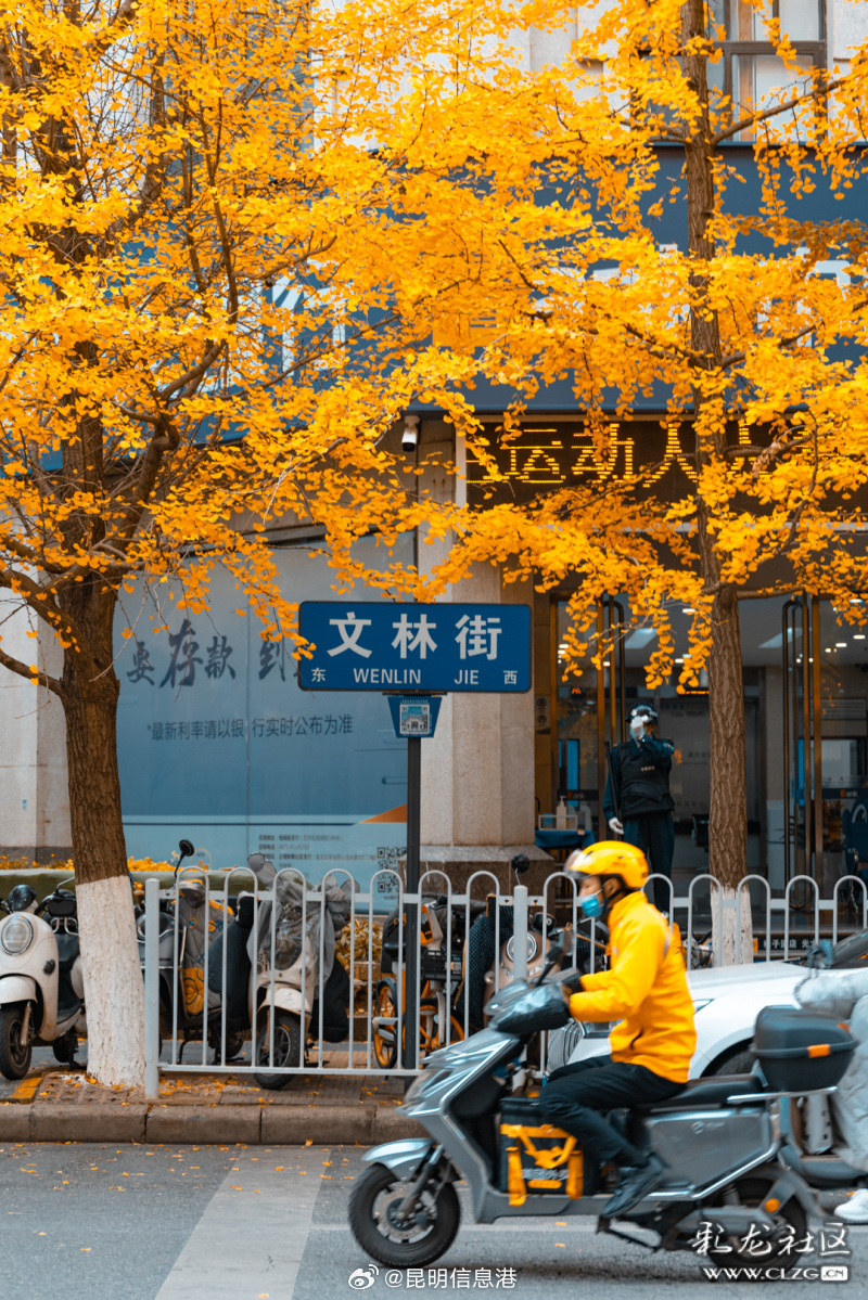 昆明信息港微博