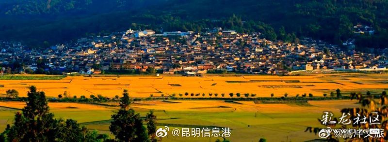 昆明信息港微博