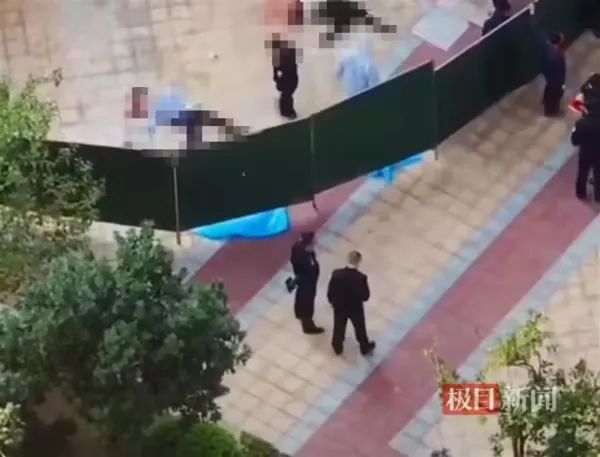 春城晚报
