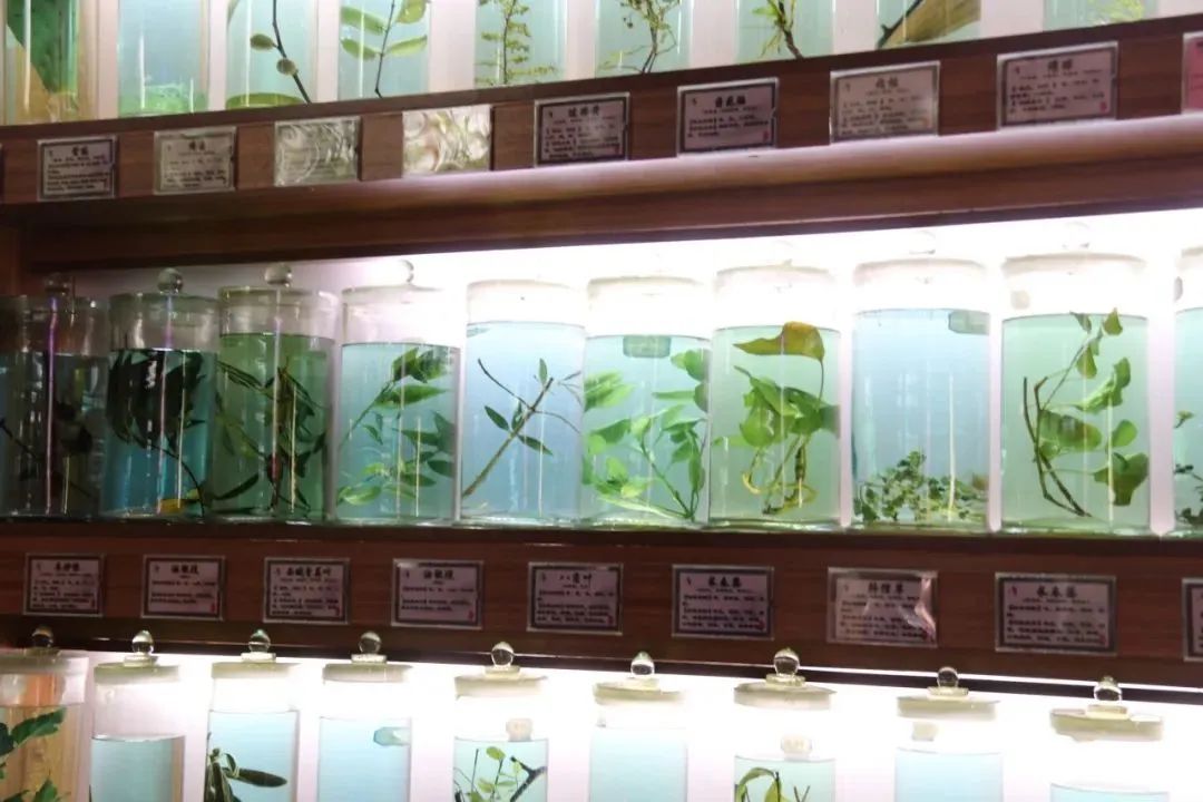 昆明西山教育体育