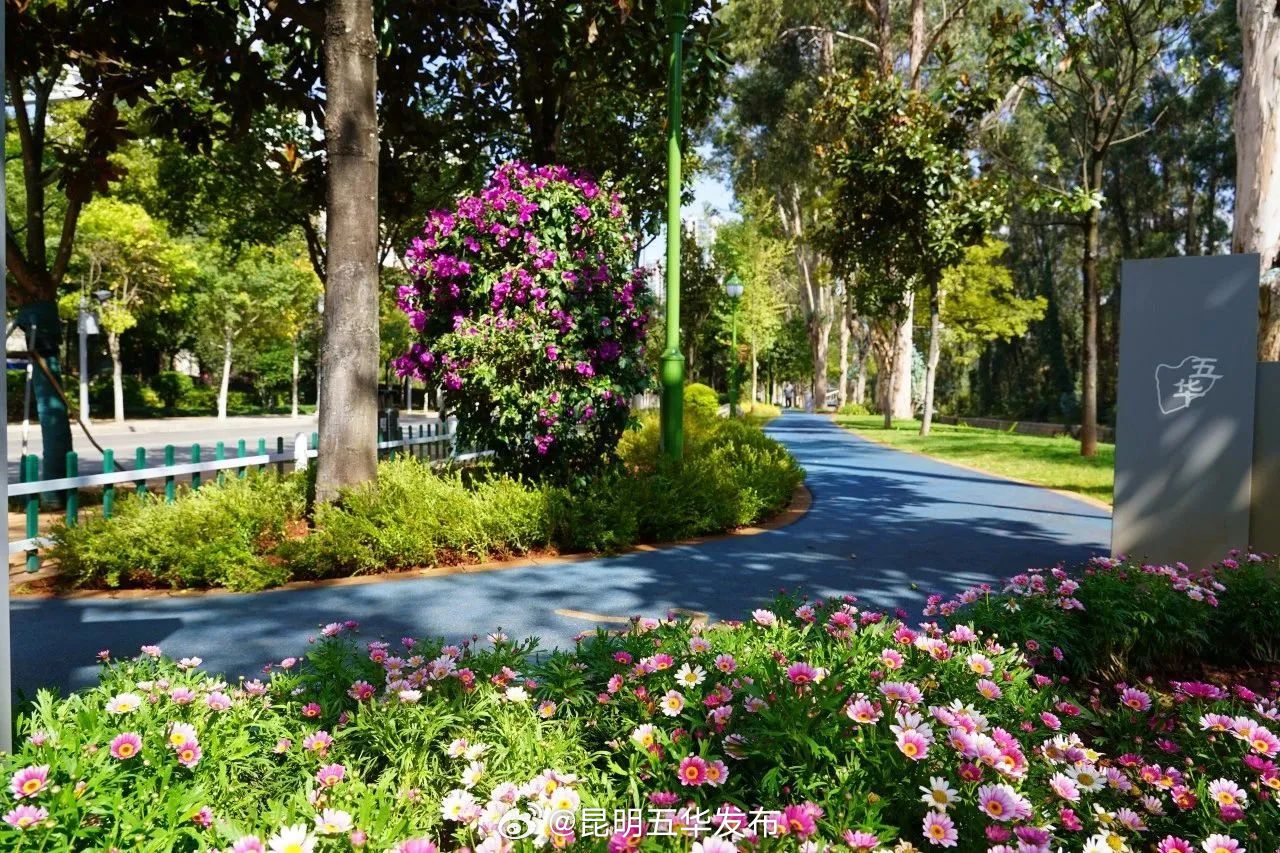 昆明五华发布
