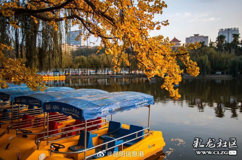 昆明信息港微博