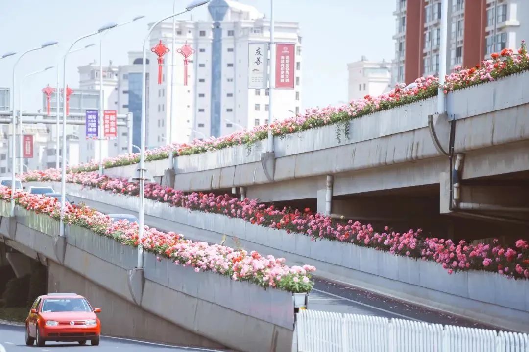 绿美西山系列报道① | “公园+N”新模式，促西山绿美城市建设得实效_http://www.mainten.cn_cns_第2张