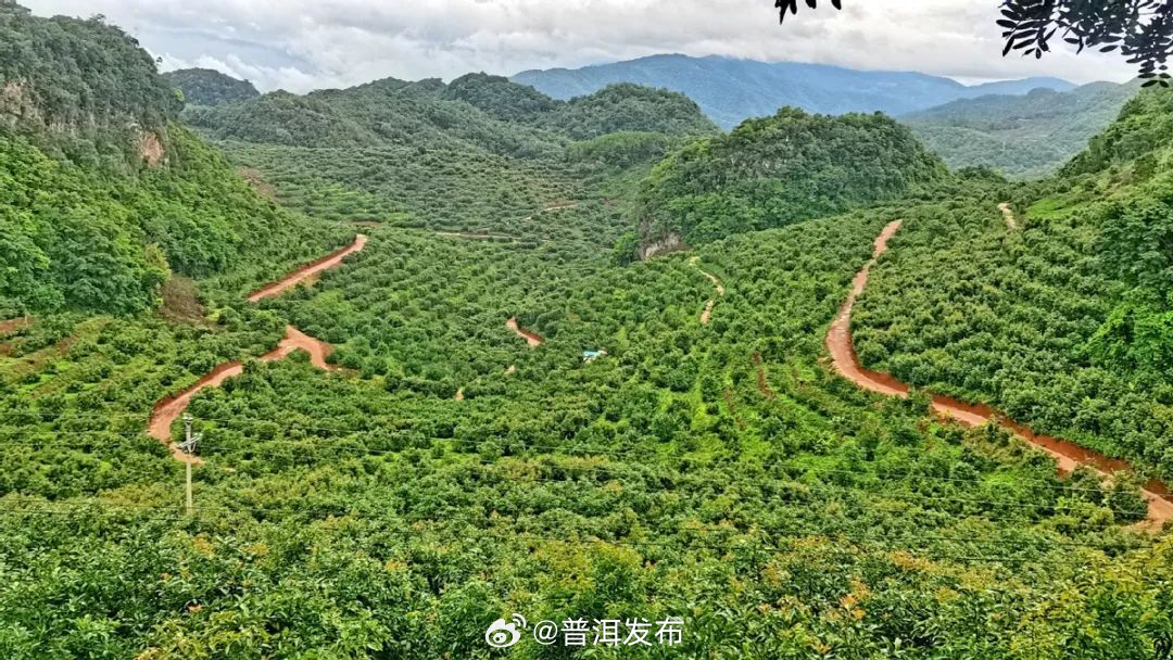 普洱发布