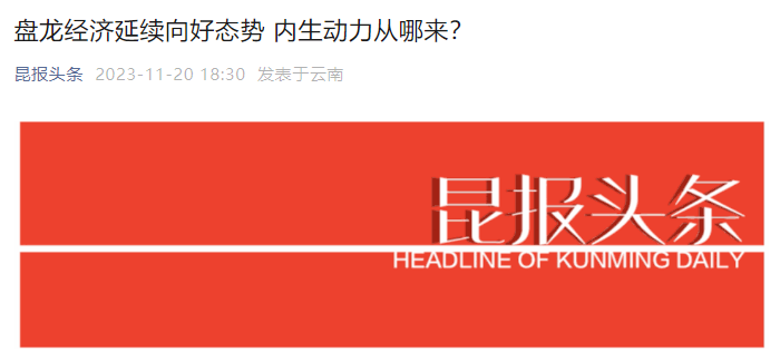 微观盘龙