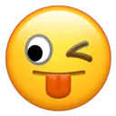 昭通日报