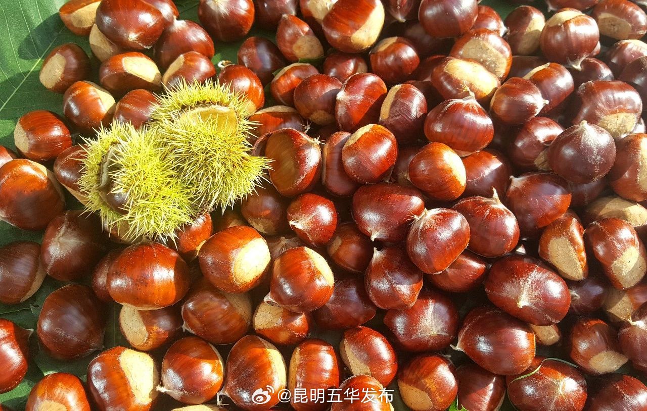 昆明五华发布