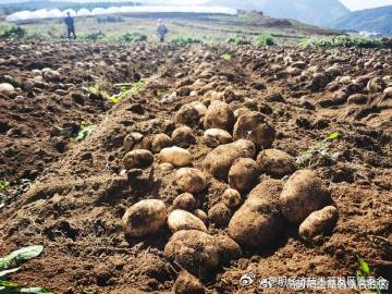 昆明经济技术开发区管委会