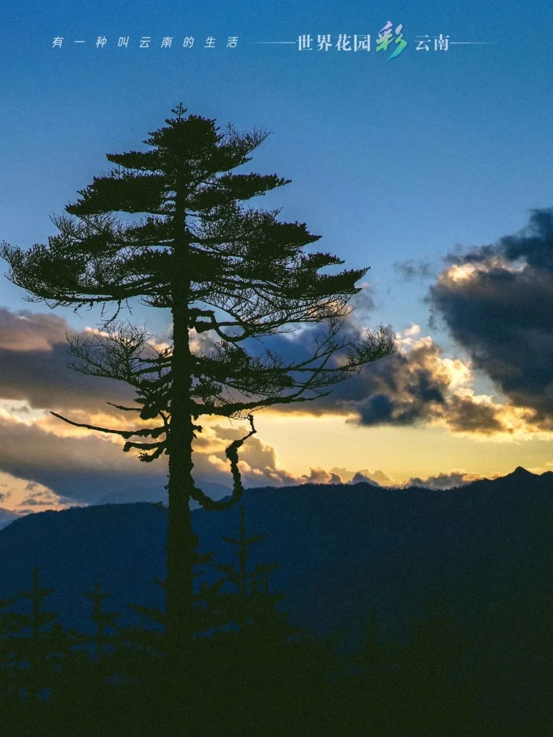 云南省文化和旅游厅