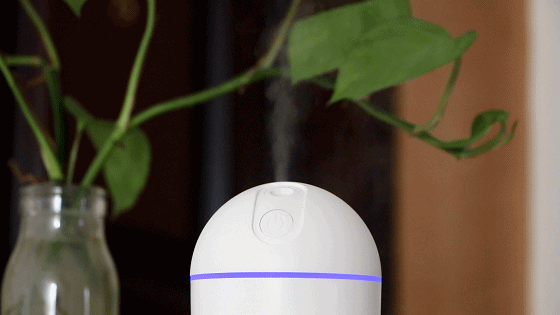 不用加湿器怎么增加空气湿度