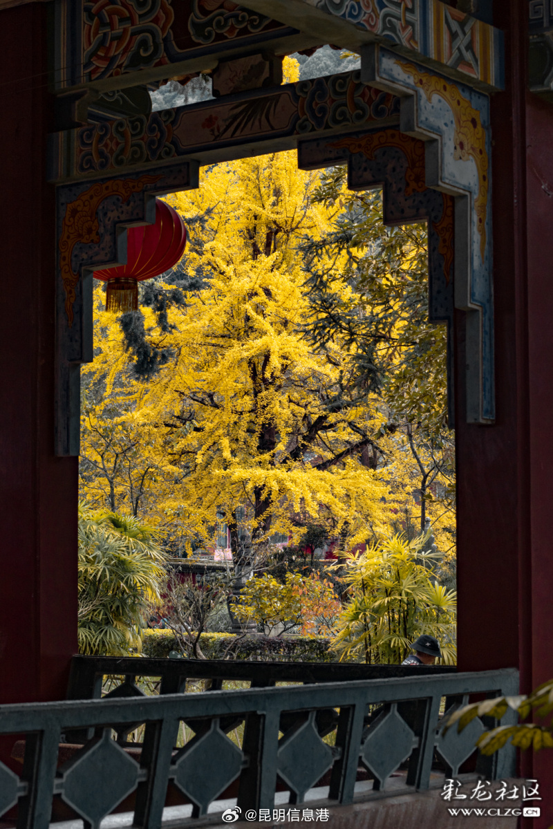 昆明信息港微博