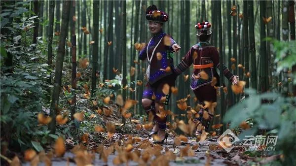 云南省文化和旅游厅