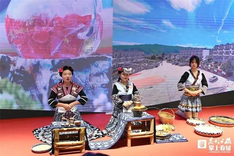 盘龙教育