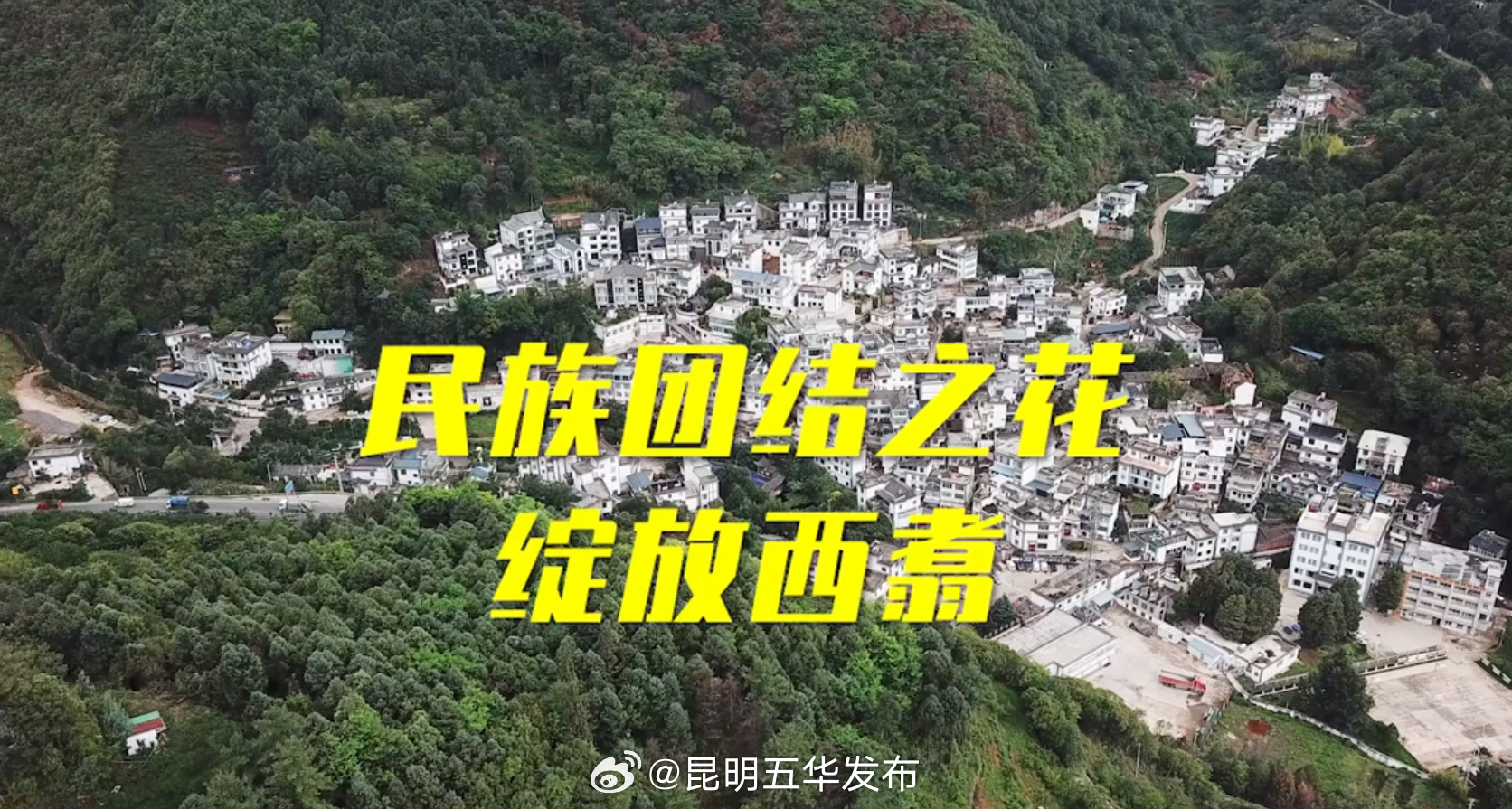 昆报头条：西翥石榴花常开长盛