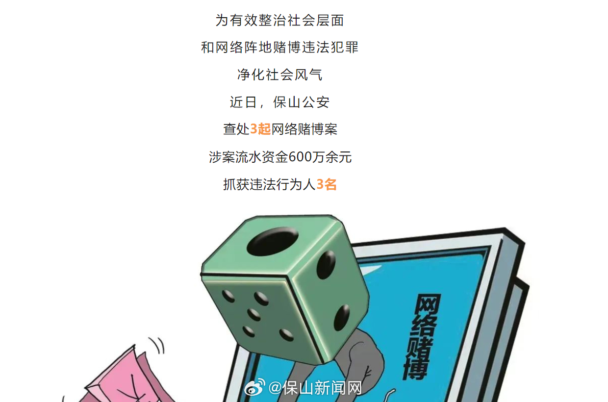 涉案600余万元！保山警方破获3起网络赌博案