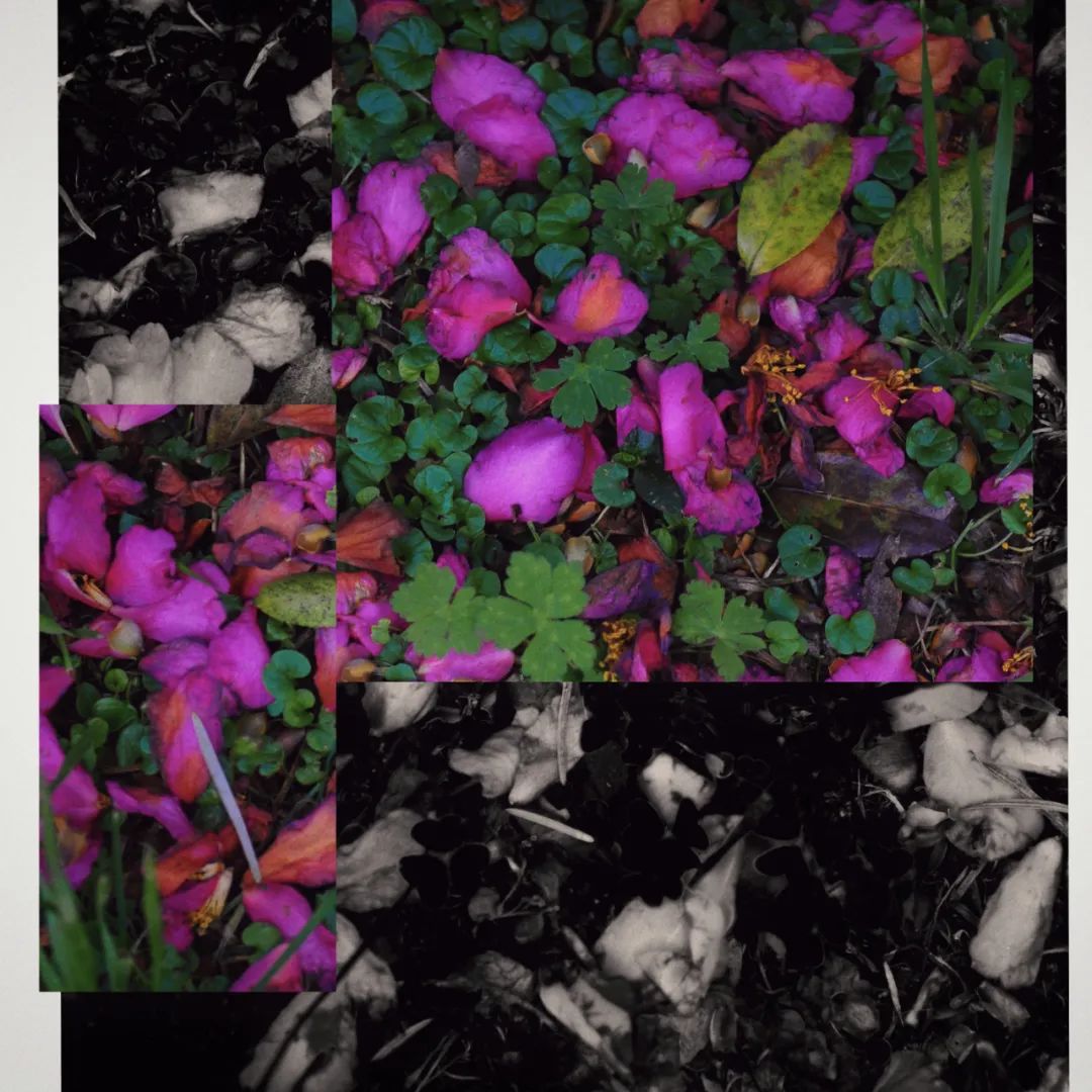 昆明市金殿名胜区