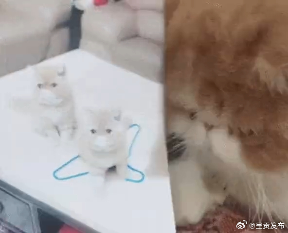 为什么大哭一场能减压