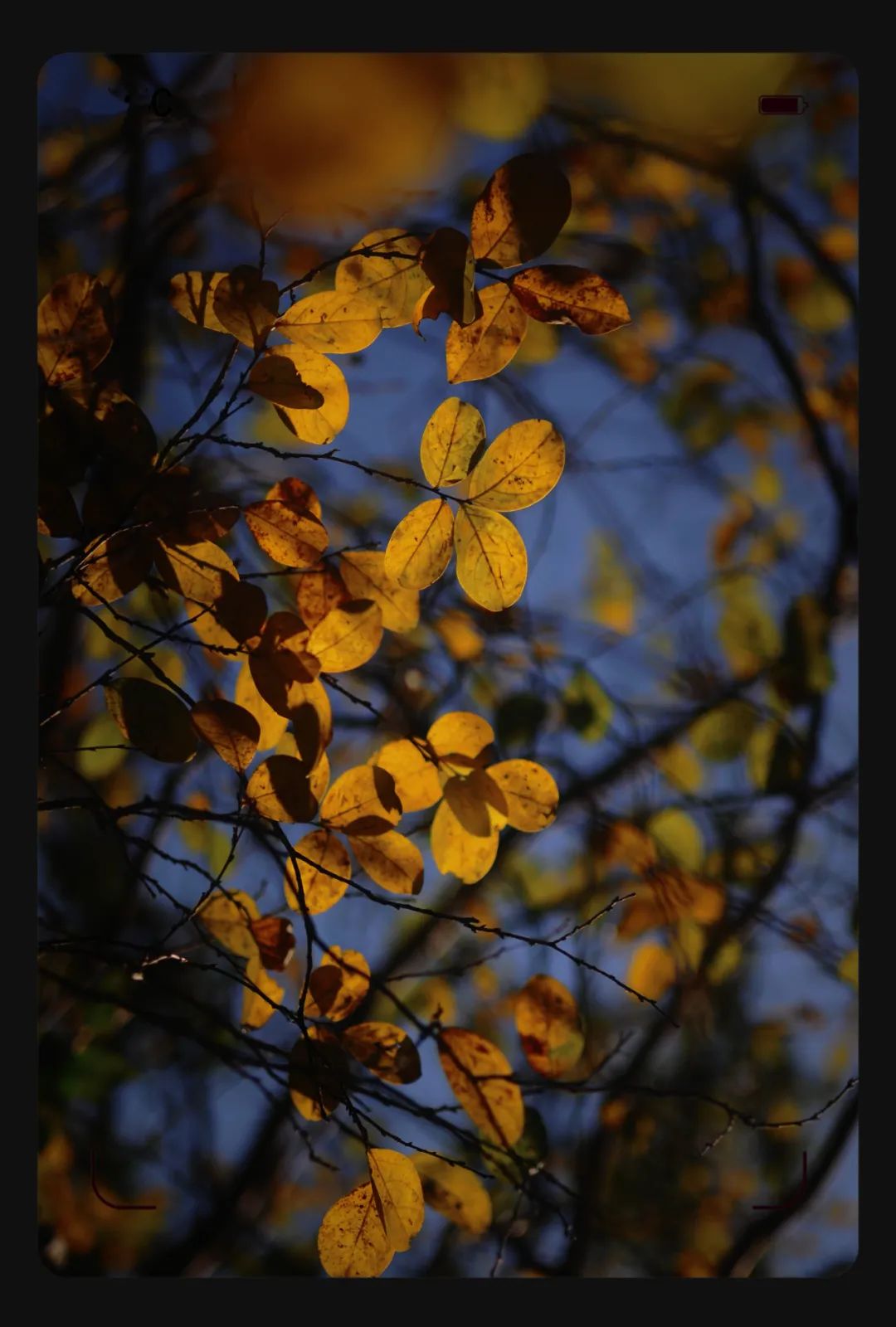 昆明市金殿名胜区