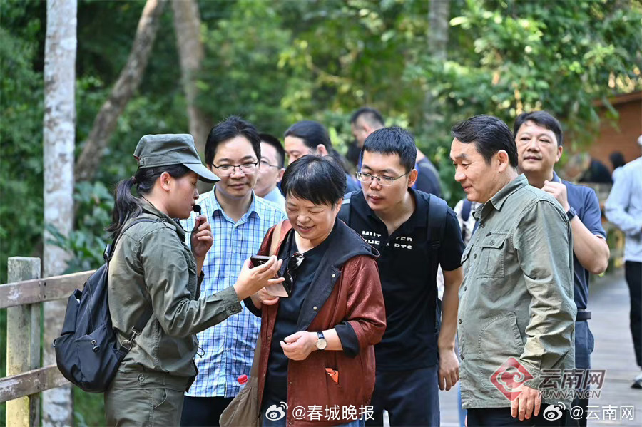 全国知名影视专家“看”云南 | 采风日记③走进西双版纳——在“象往”的地方感受“绿美”云南_http://www.mainten.cn_cns_第8张