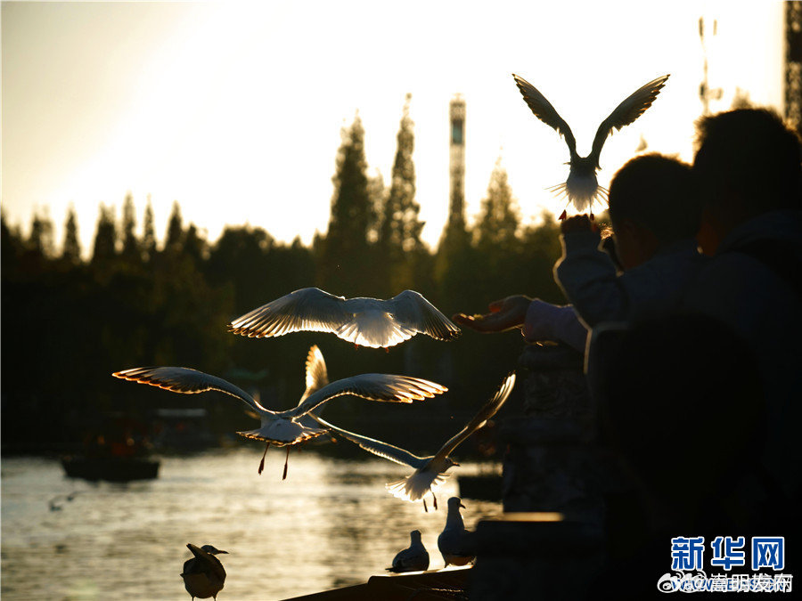 云南昆明：冬日大观楼 暮色醉游人_http://www.mainten.cn_cns_第2张