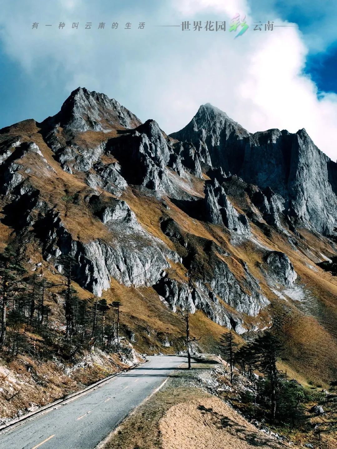 云南省文化和旅游厅