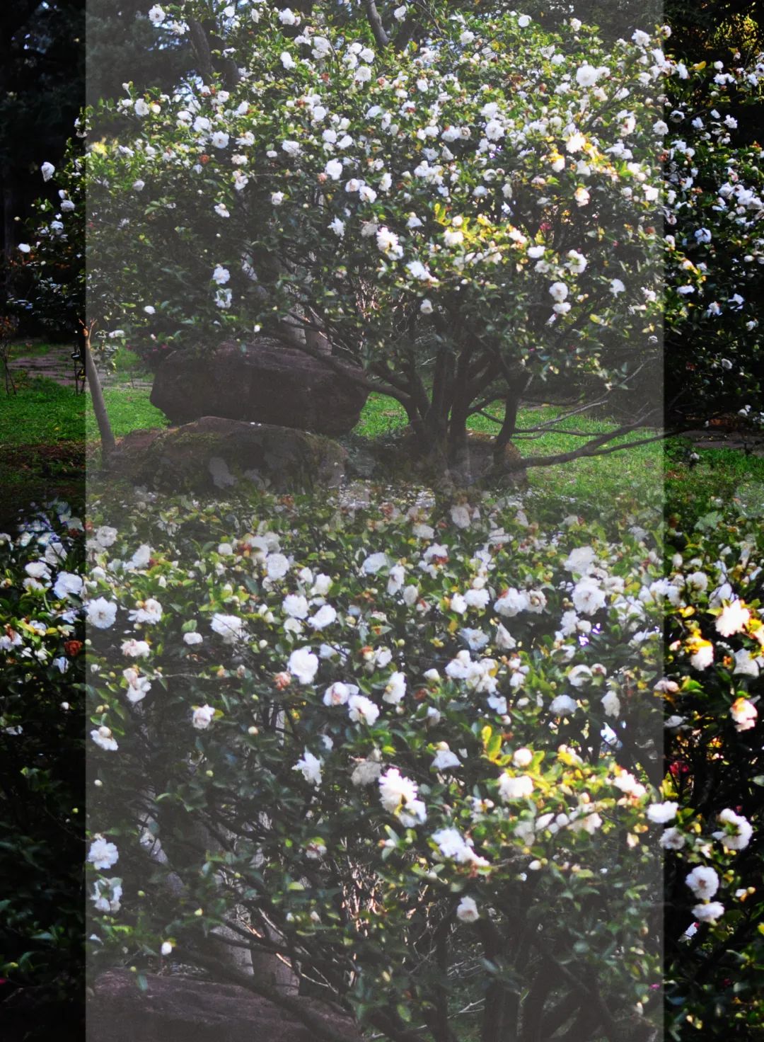 昆明市金殿名胜区