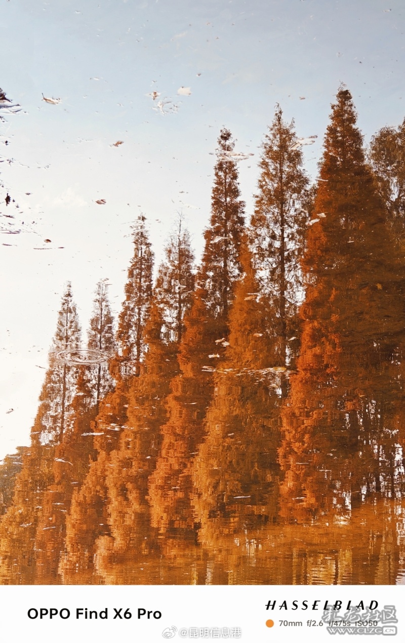 昆明信息港微博