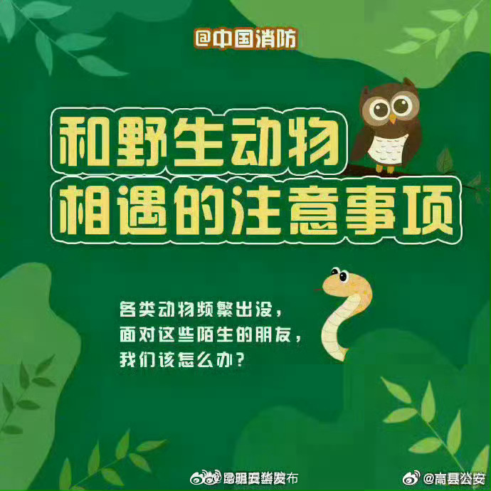 昆明五华发布
